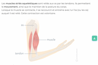 Préparez vous au concours esa (médecin des armées et infirmier des armées)