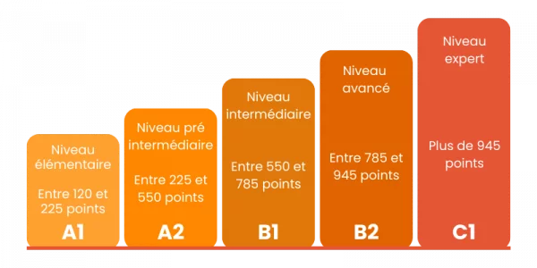 TOEIC-736-×-400-px-800-×-400-px-10-e1701699142482